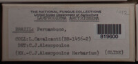 Image Associated With the Occurence